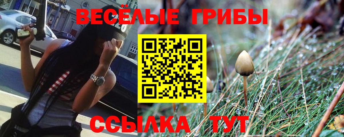 Псилоцибиновые грибы Psilocybine cubensis Советский