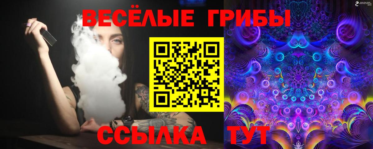Советский  Псилоцибиновые грибы GOLDEN TEACHER  Вход с VPN 